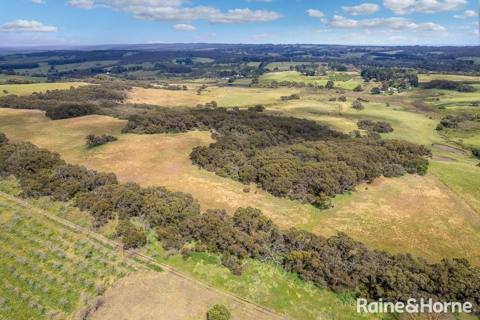 267 Phillips Road, Hope Forest SA 5172, Image 2