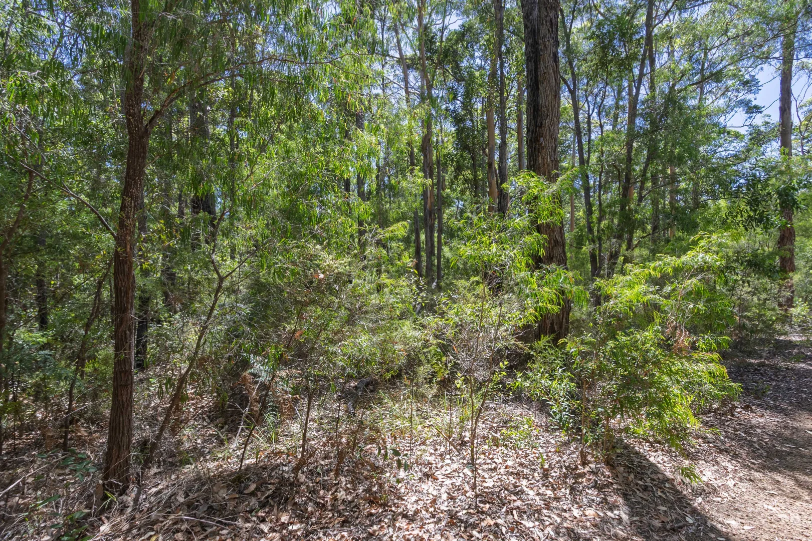 Additional image 6 of Lot 52 Karri Lane, Quinninup WA 6258