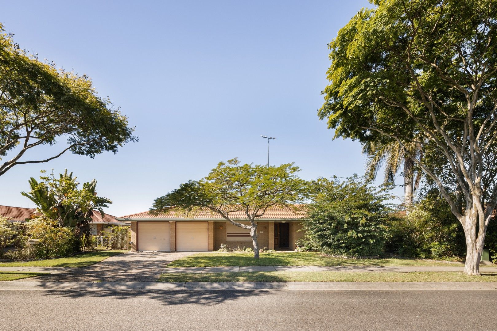 77 Nemira Street, Carseldine QLD 4034 Domain