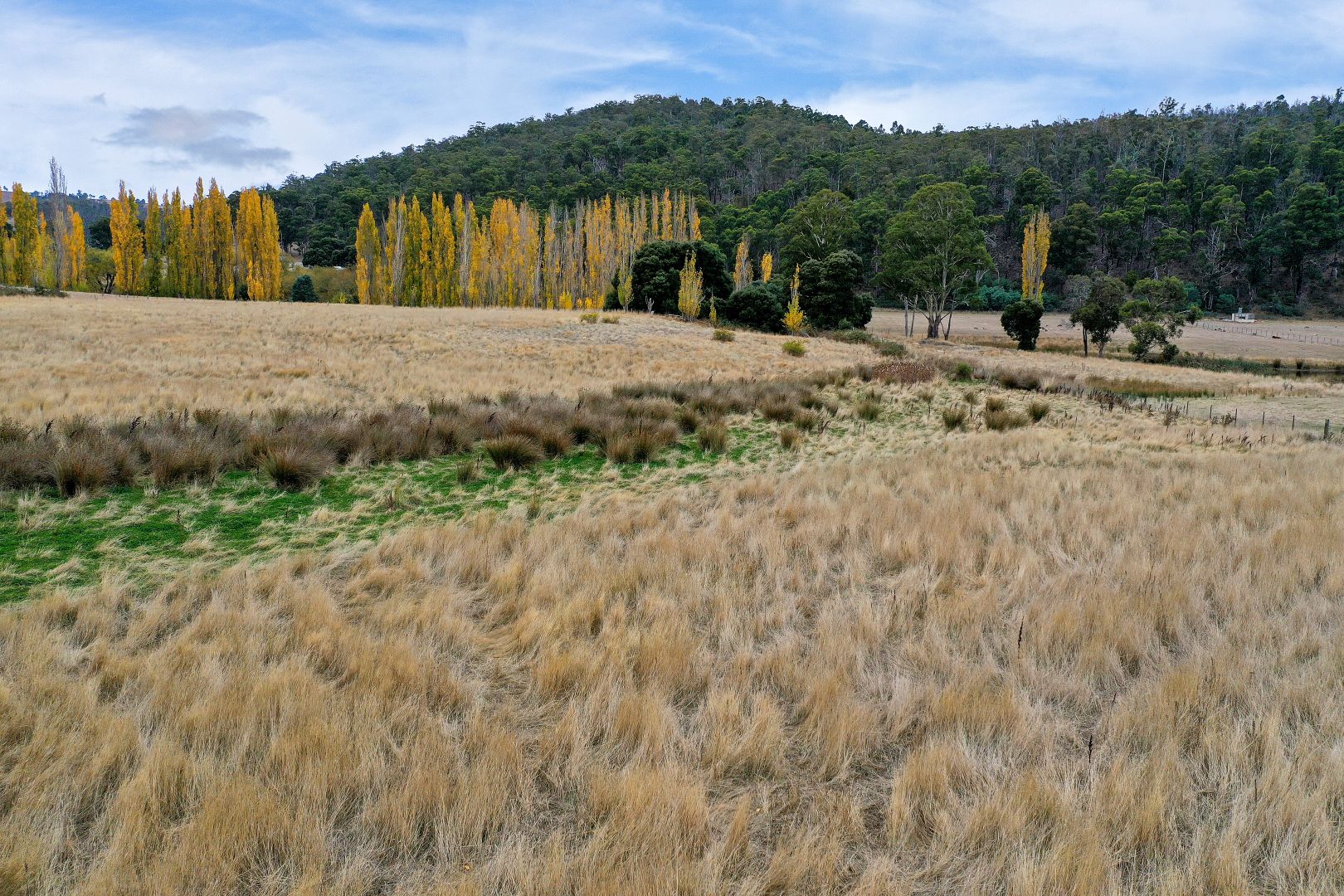 Lot 1 Ellendale Road, Fentonbury TAS 7140, Image 2