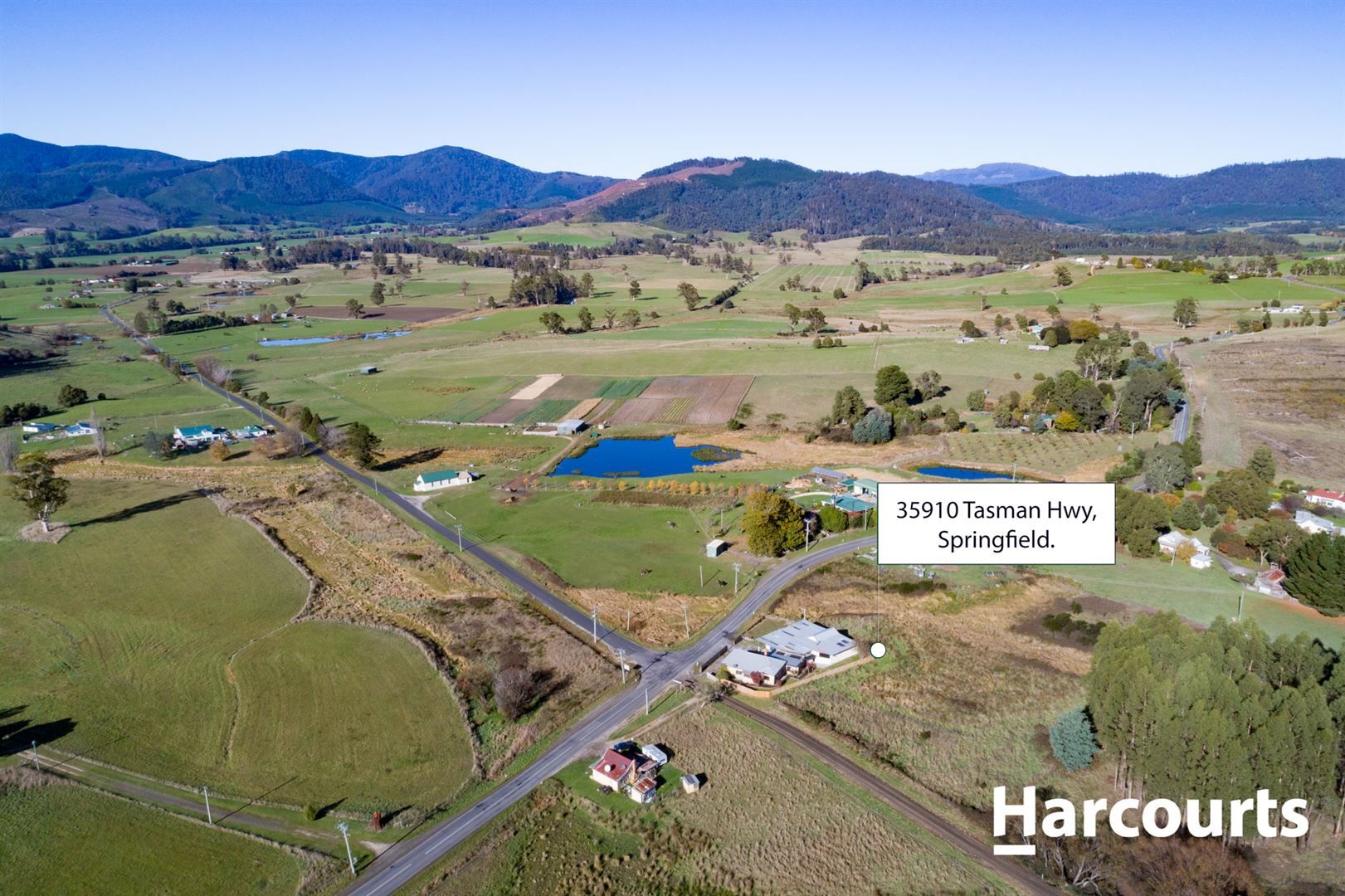 35910 Tasman Highway, Springfield TAS 7260, Image 2