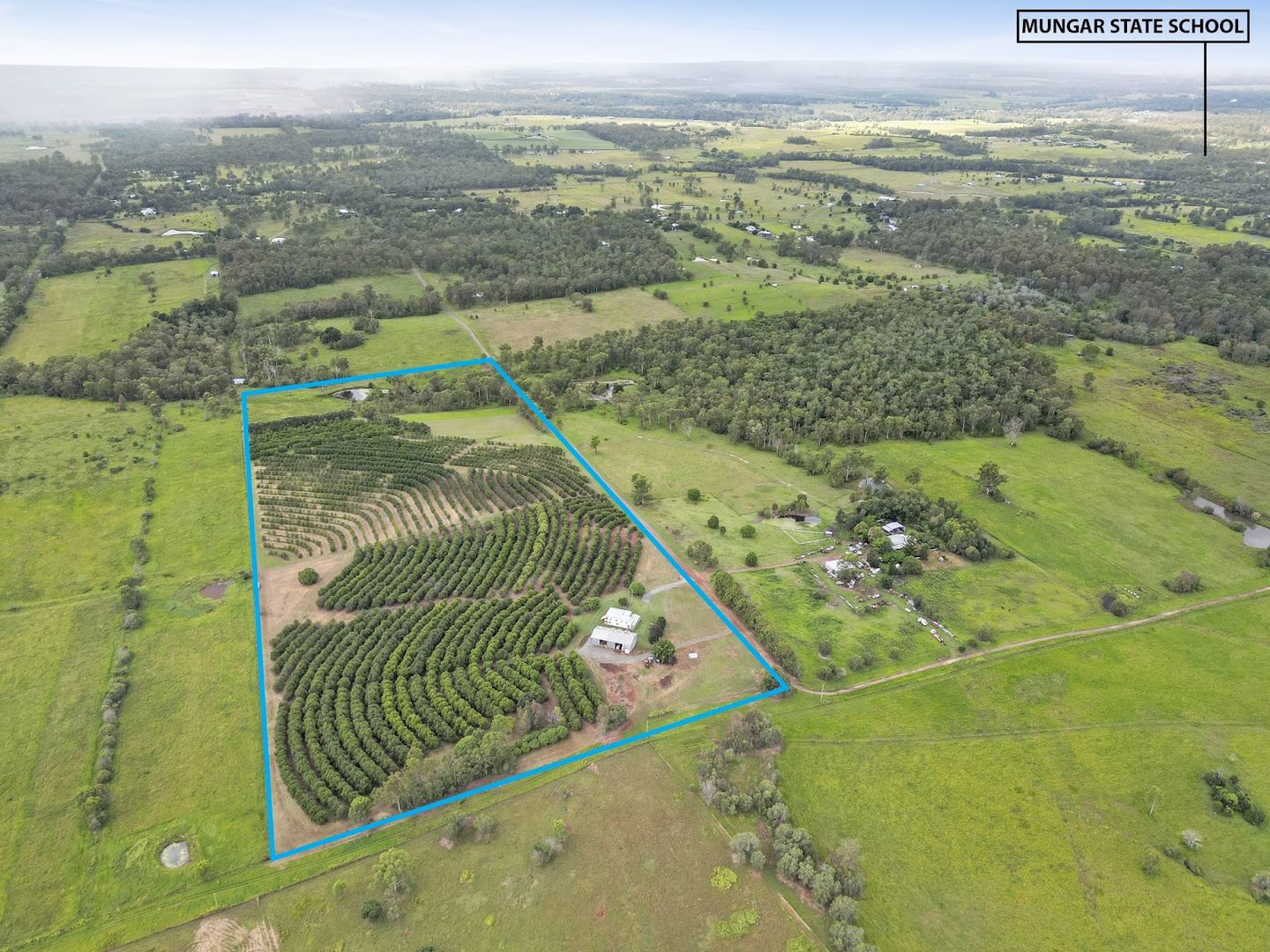 126 Irrawarra Road, Grahams Creek QLD 4650 House for Sale 1,100,000