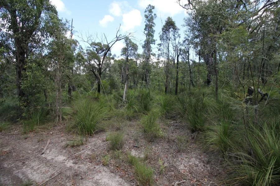 Additional image 24 of 960 Pacific Drive, Deepwater QLD 4674