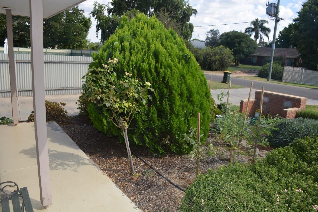 Unit 1/25 Kamarooka Street, Barooga NSW 3644, Image 2