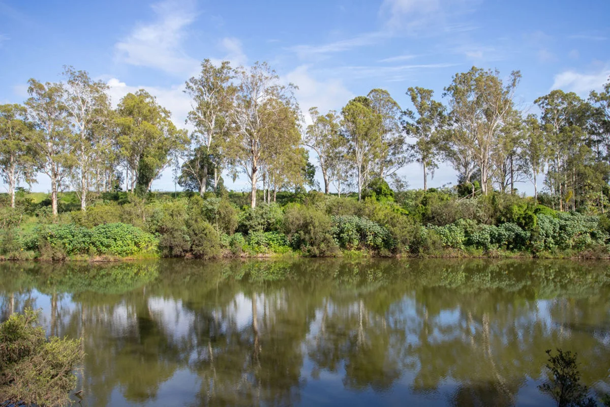 Additional image 42 of 128 Fielding Road, Vernor QLD 4306