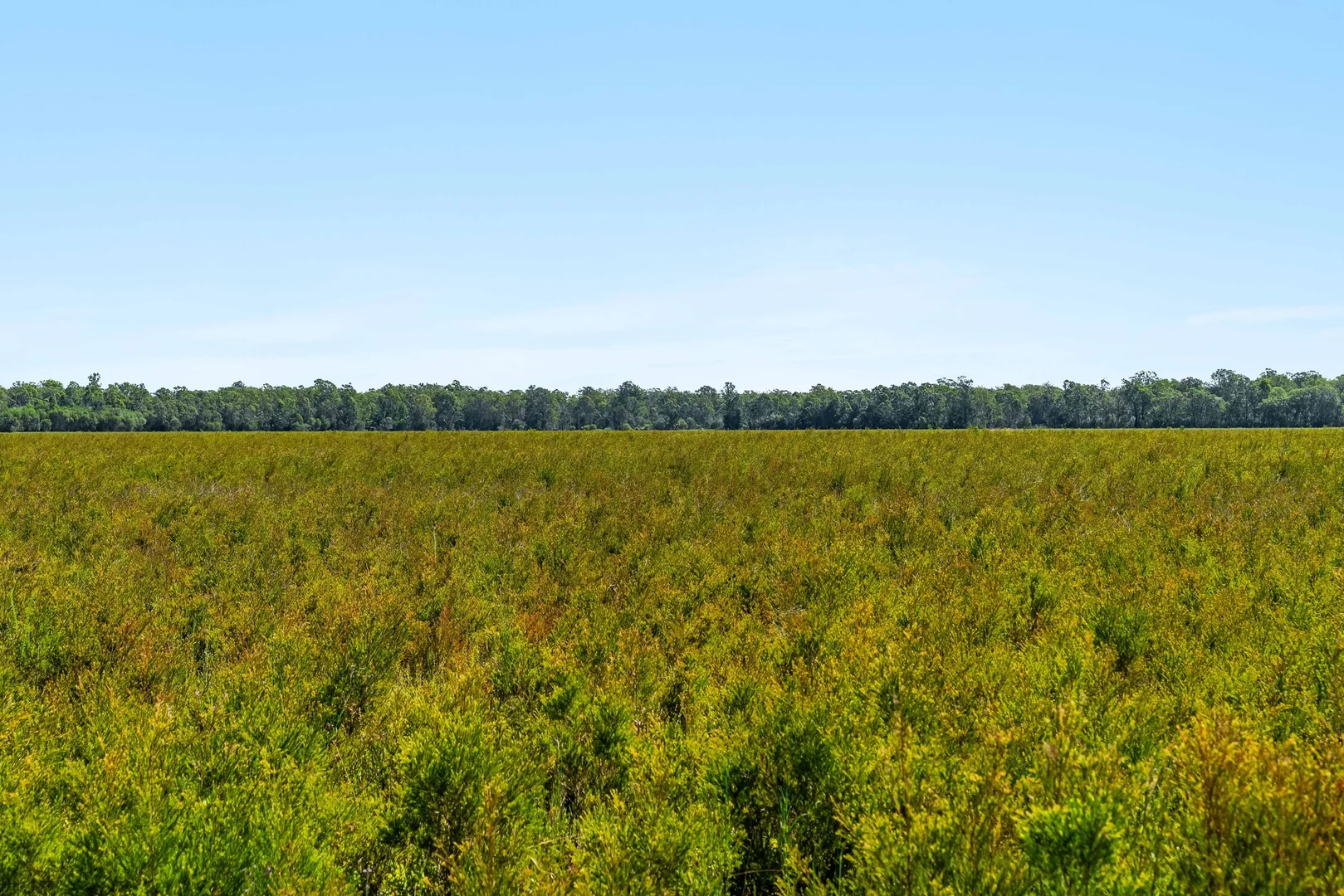 Additional image 26 of 1190 Bungawalbin Whiporie Road, Bungawalbin NSW 2469