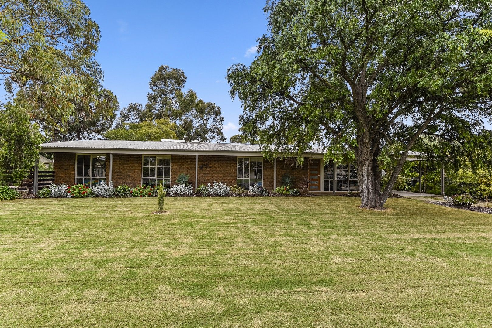 17 Buik Street, Bordertown SA 5268, Image 0