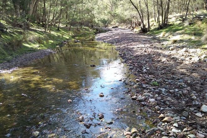 Picture of Lot 75 & 76 Off Thorny Bush Rd, INGEBIRAH NSW 2627