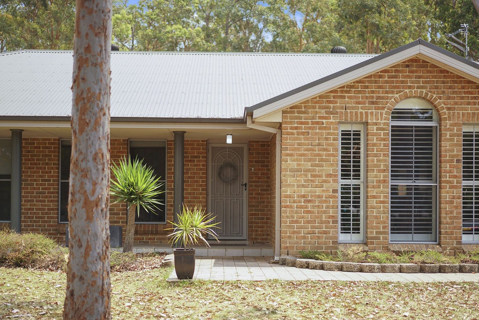 5 Ryan Road, Medowie NSW 2318, Image 0