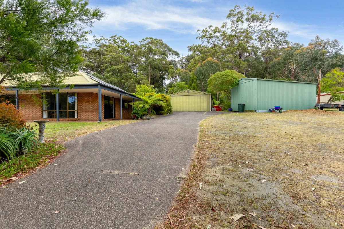Image 15