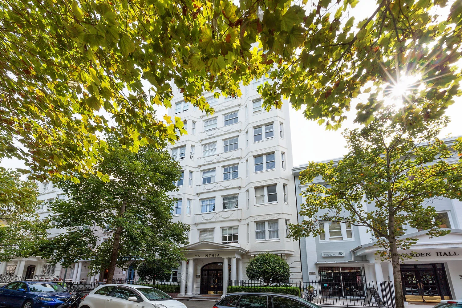 Image 8