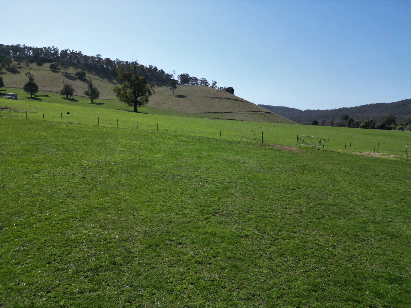Image 9