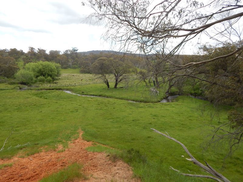 Lot 111 Bugtown Road, Adaminaby NSW 2629, Image 1