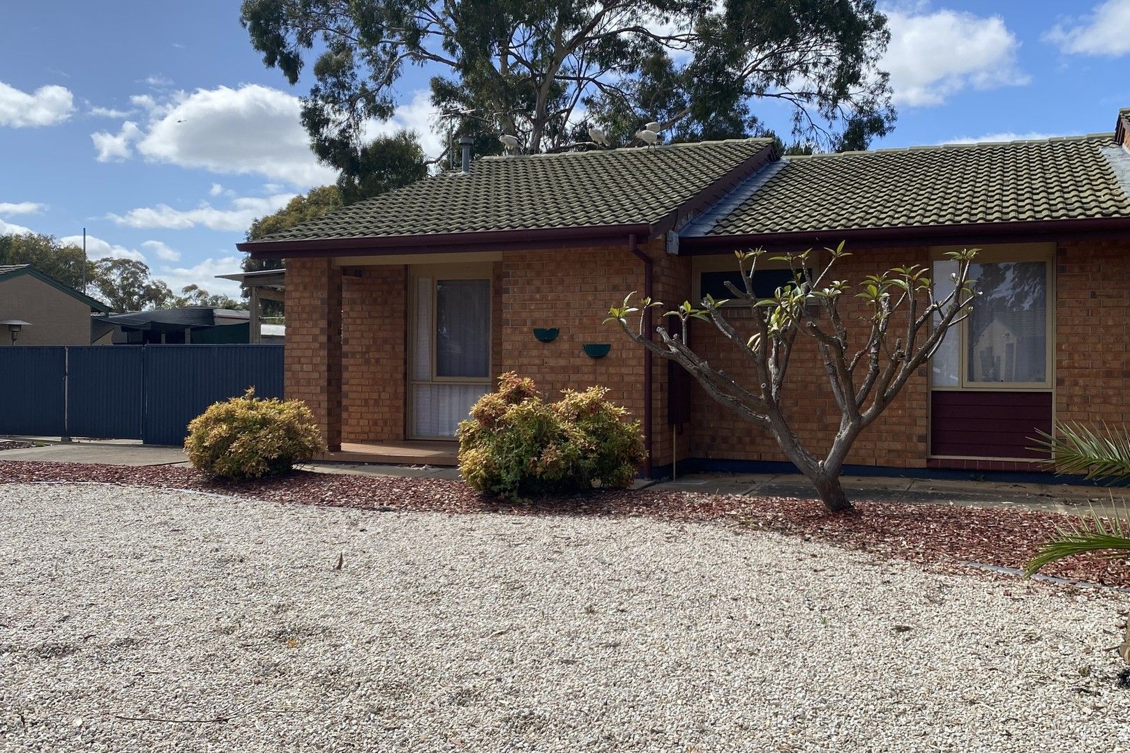 40 Verbena Drive, Parafield Gardens SA 5107 House For Rent Domain