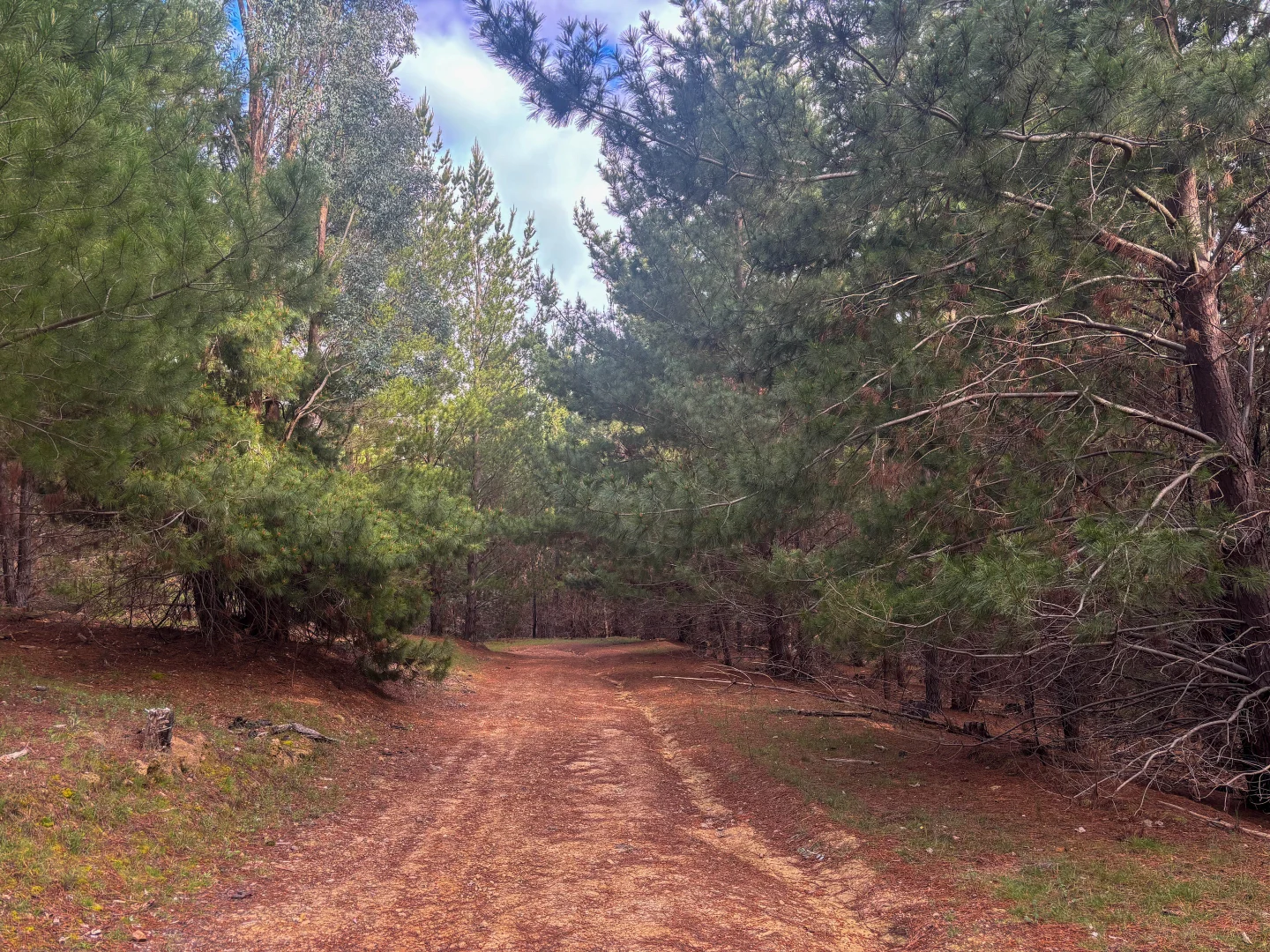 Additional image 11 of 259 Hells Hole Creek Road, Bonnie Doon VIC 3720