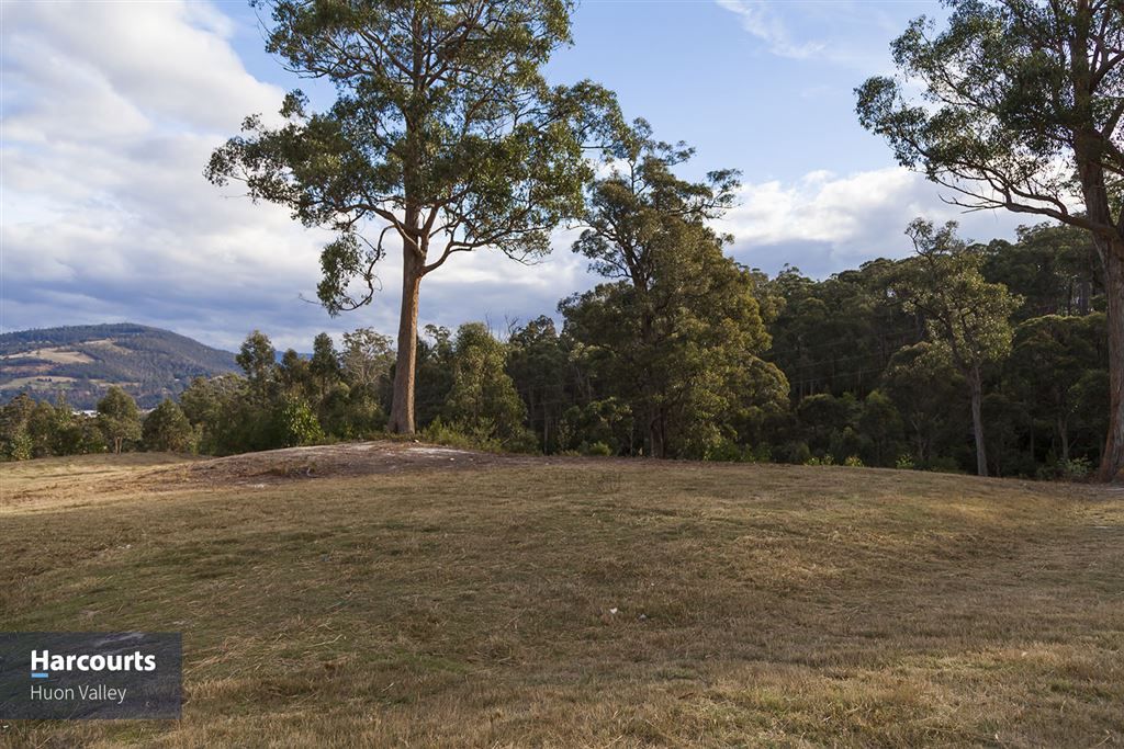 73 Snowy View Heights, Huonville TAS 7109, Image 2