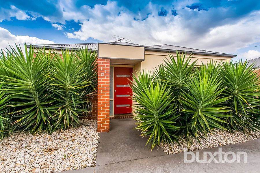 2/7-9 Fraser Street, Herne Hill VIC 3218, Image 0