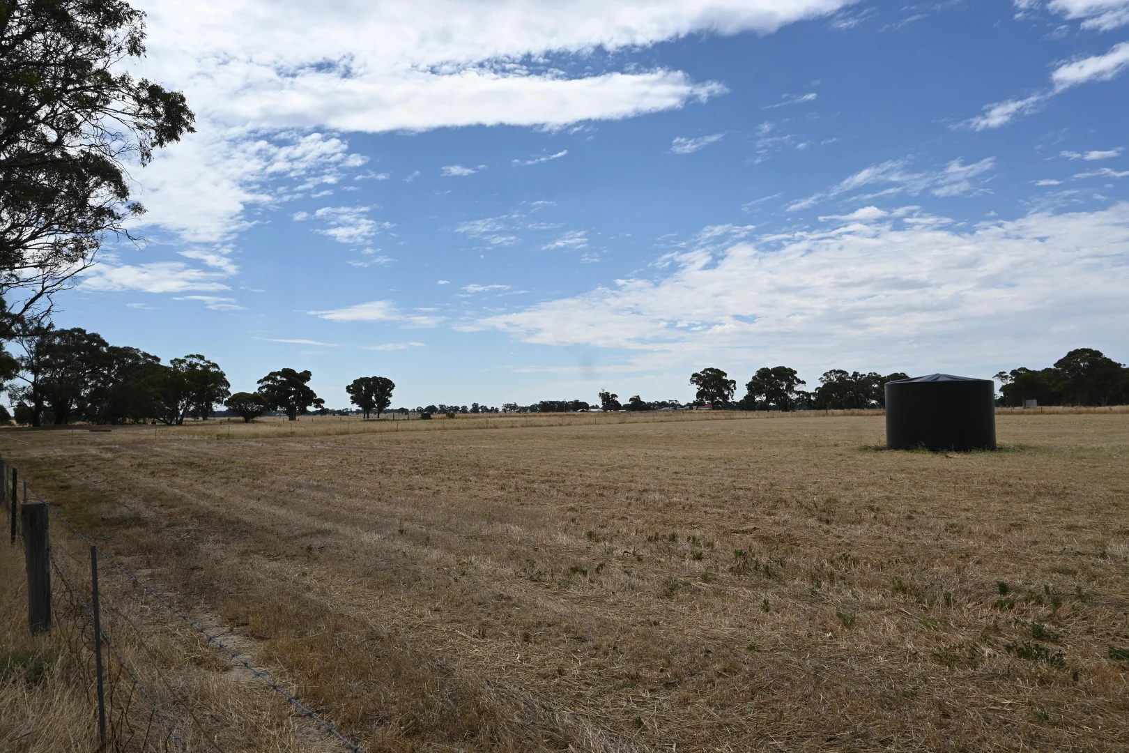 Image 14