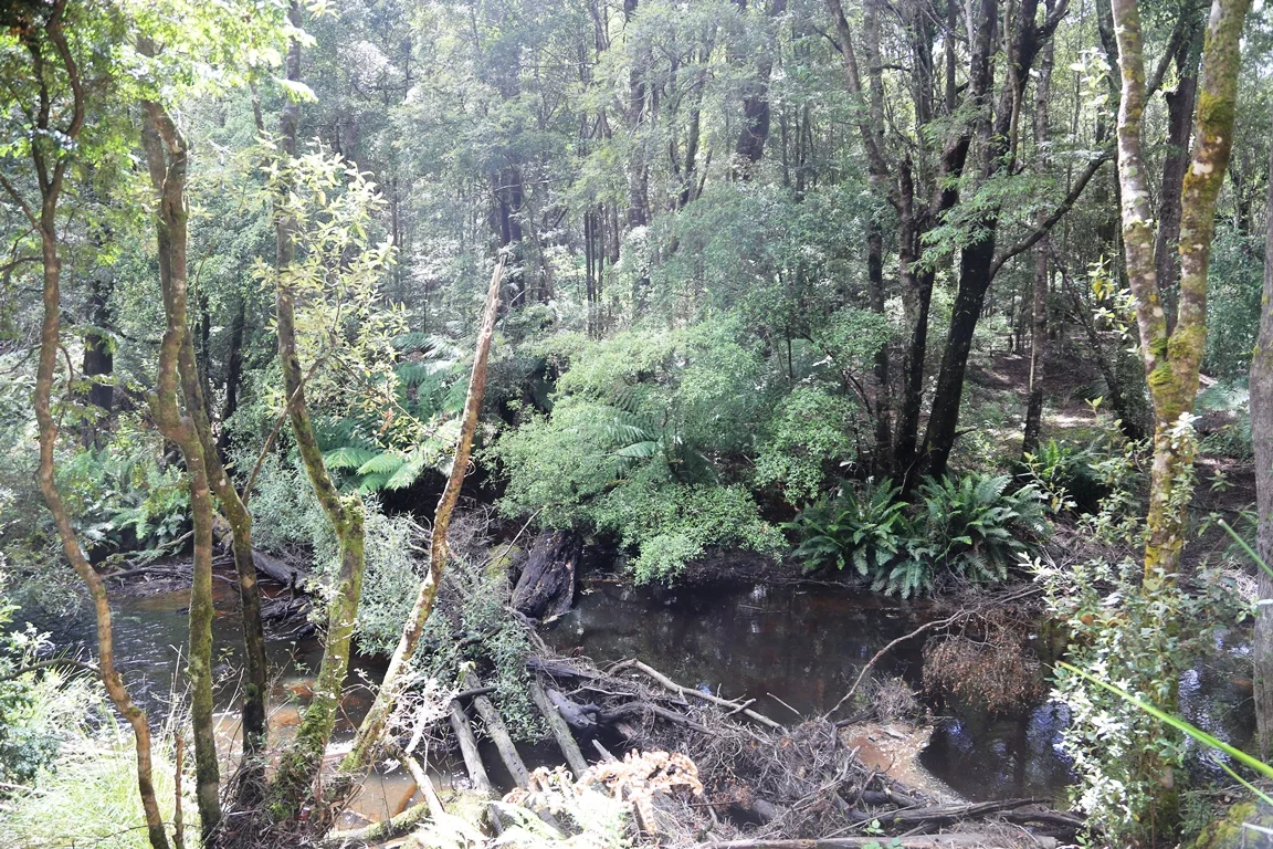 Image 9