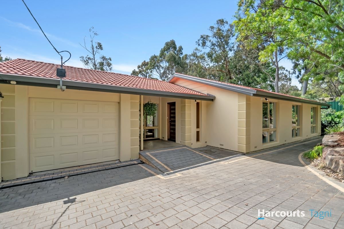 6 Anne Street, Coromandel Valley SA 5051, Image 0