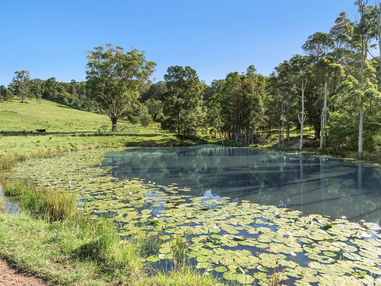 102 & 103 Thurgates Lane, Meerschaum Vale NSW 2477, Image 0