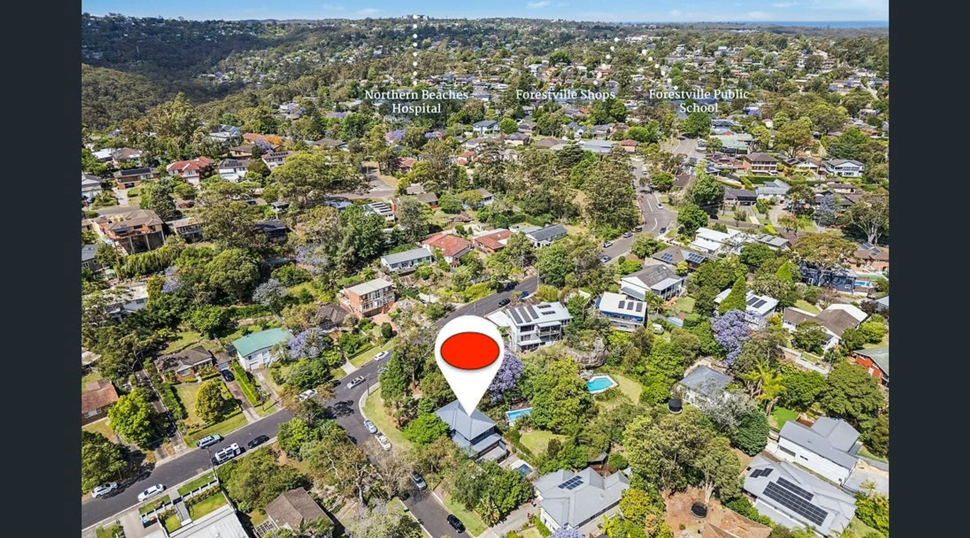 Additional image 8 of 17A Angophora Cres, Forestville NSW 2087