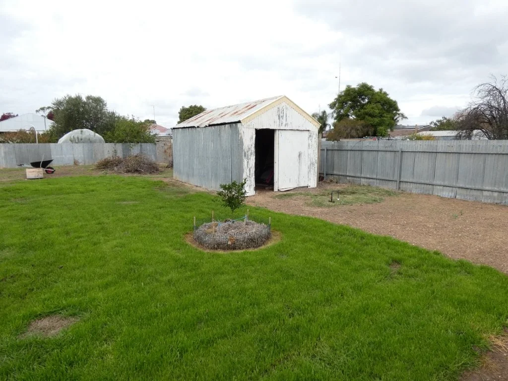 Image 13