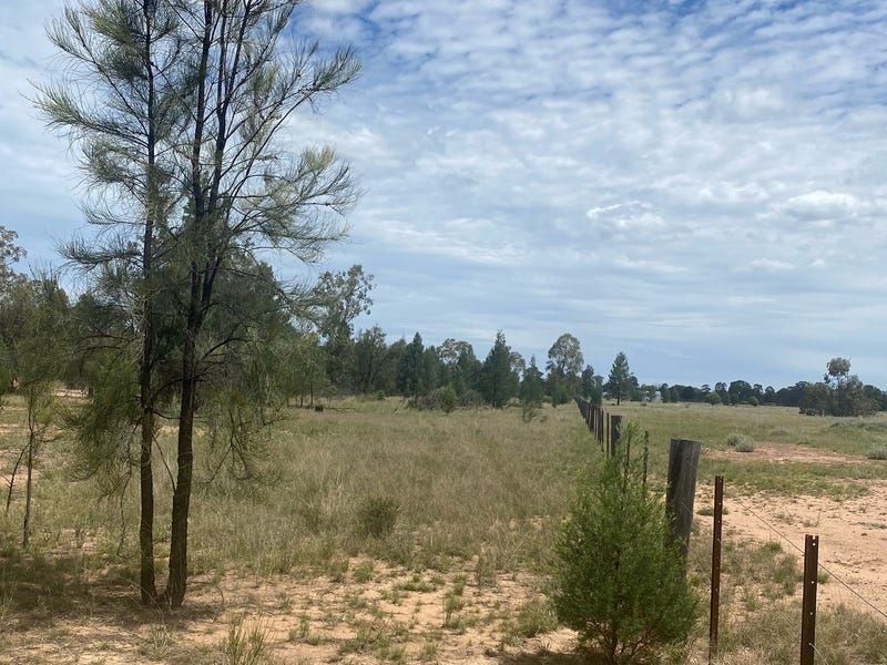 Tara QLD 4421 House for Sale Domain