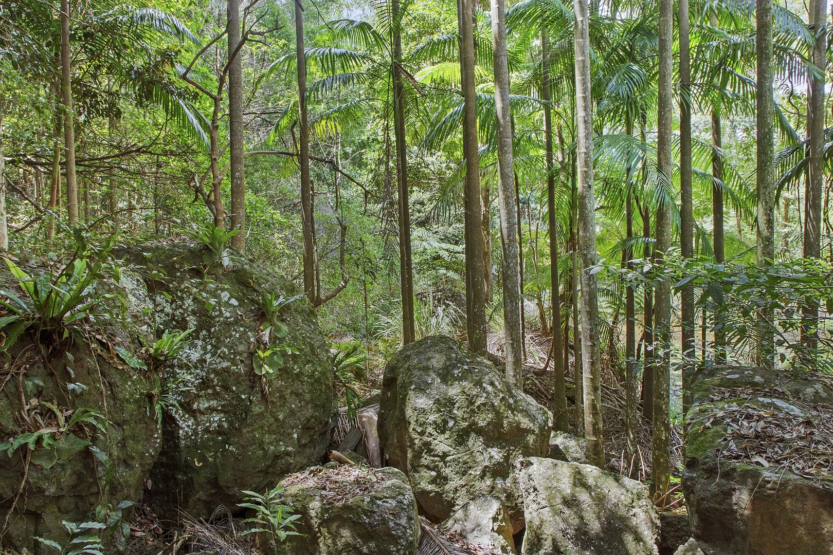 Image 17