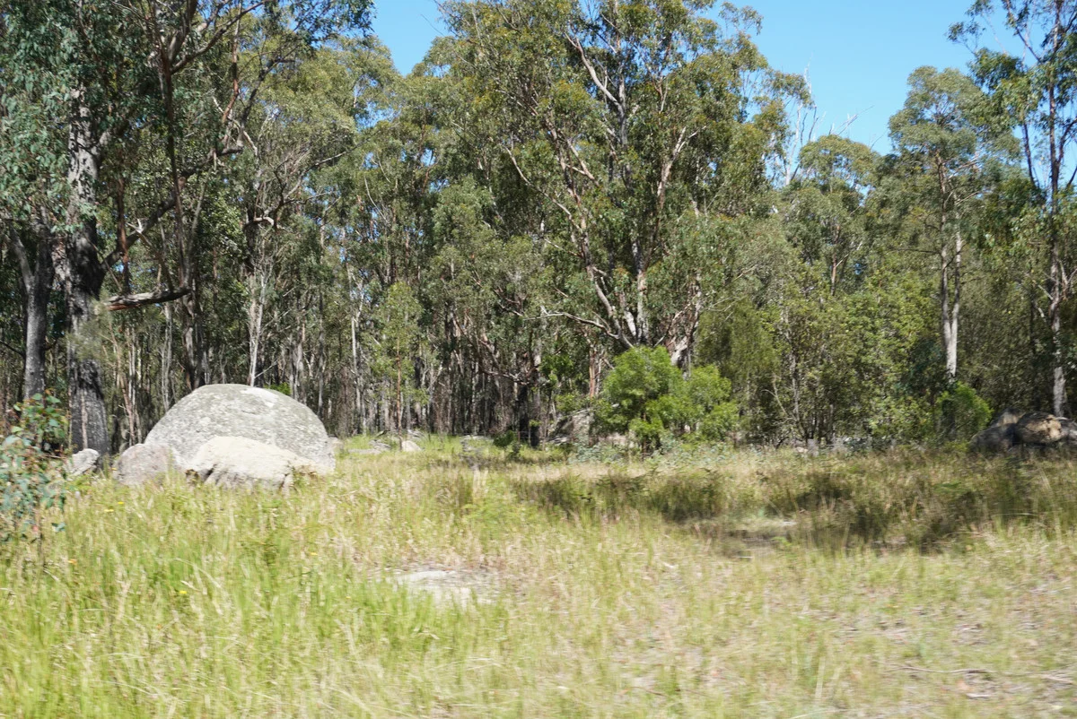 Additional image 20 of 1293 Mount Lindesay Road, Tenterfield NSW 2372