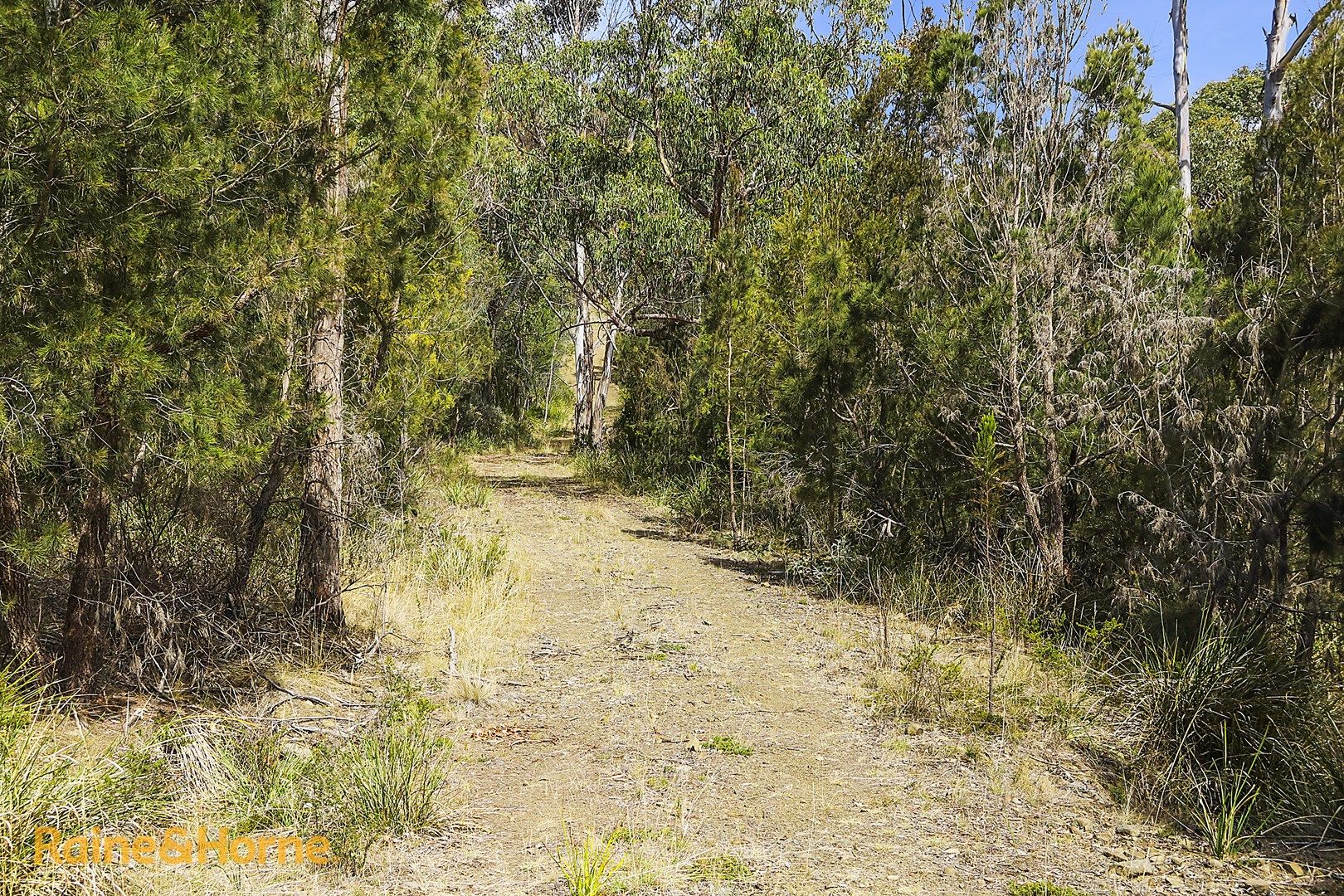 501 Tinderbox Road, Tinderbox TAS 7054, Image 0