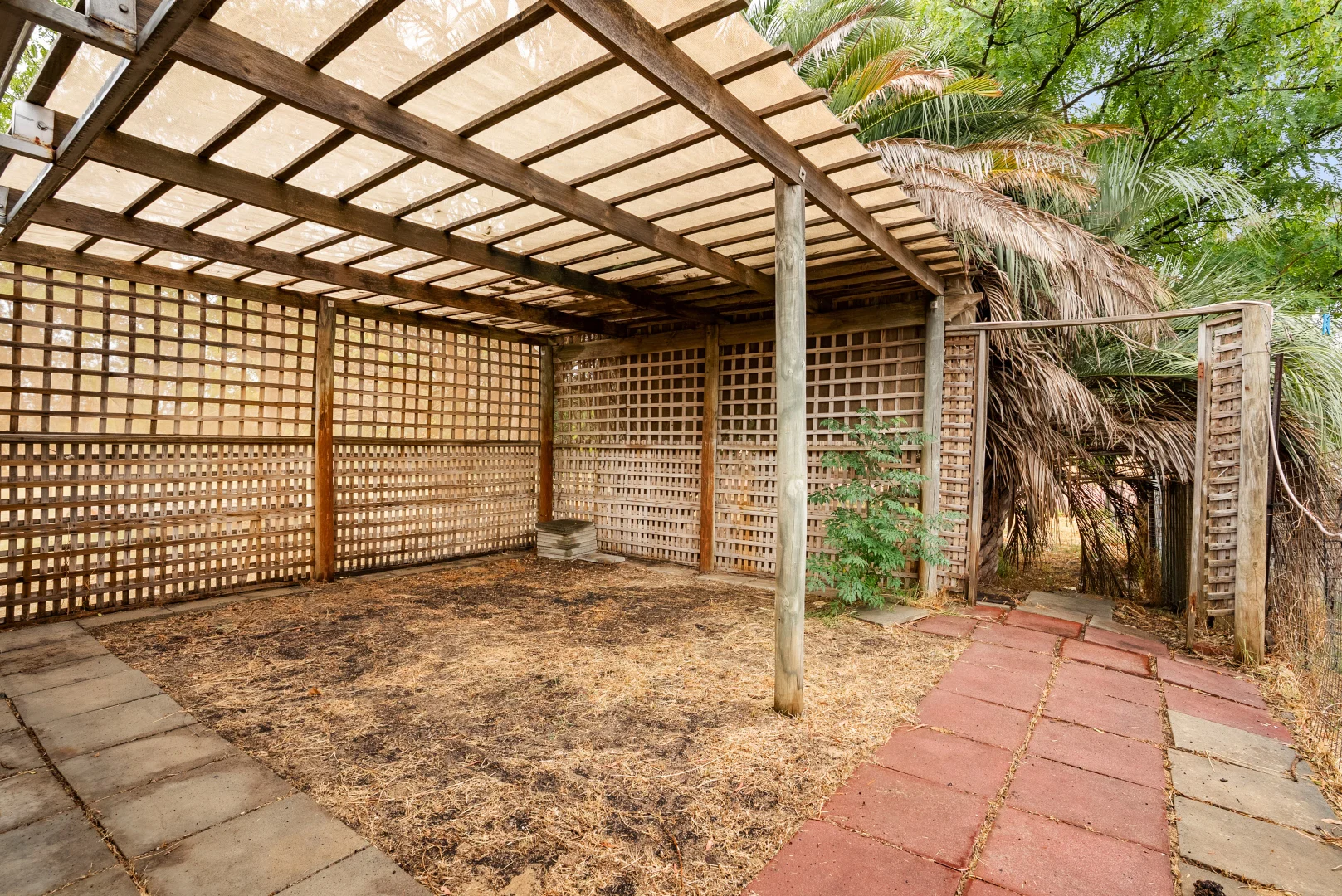 Additional image 19 of 237 Young Road, Baldivis WA 6171