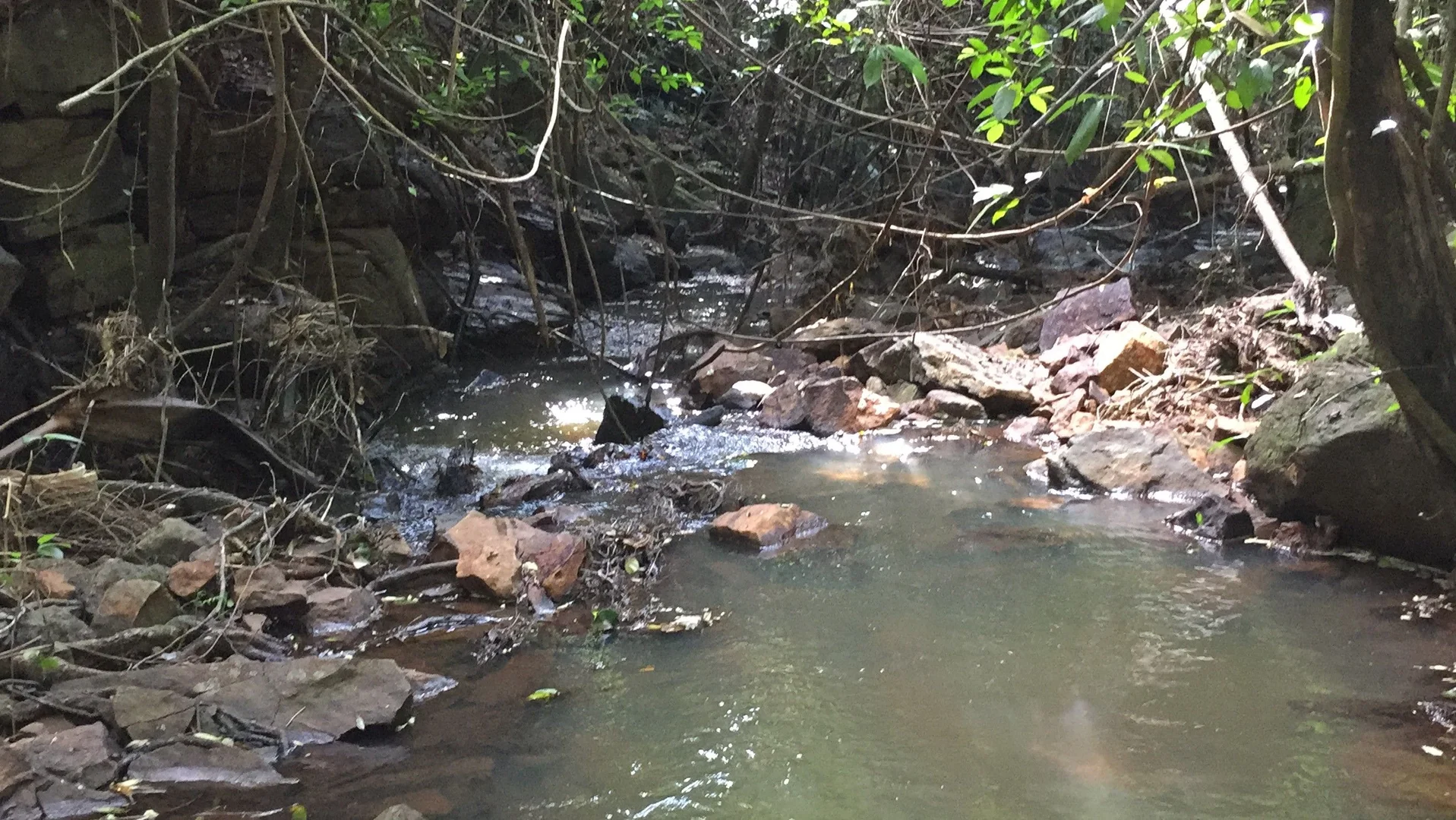 Additional image 16 of Numulgi NSW 2480