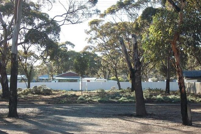 Picture of Lot 725 Prinsep Street, NORSEMAN WA 6443