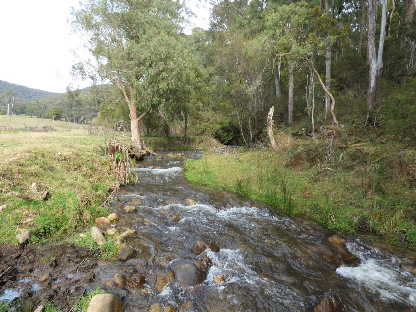 CA7A Smythes Road, Eskdale VIC 3701, Image 0