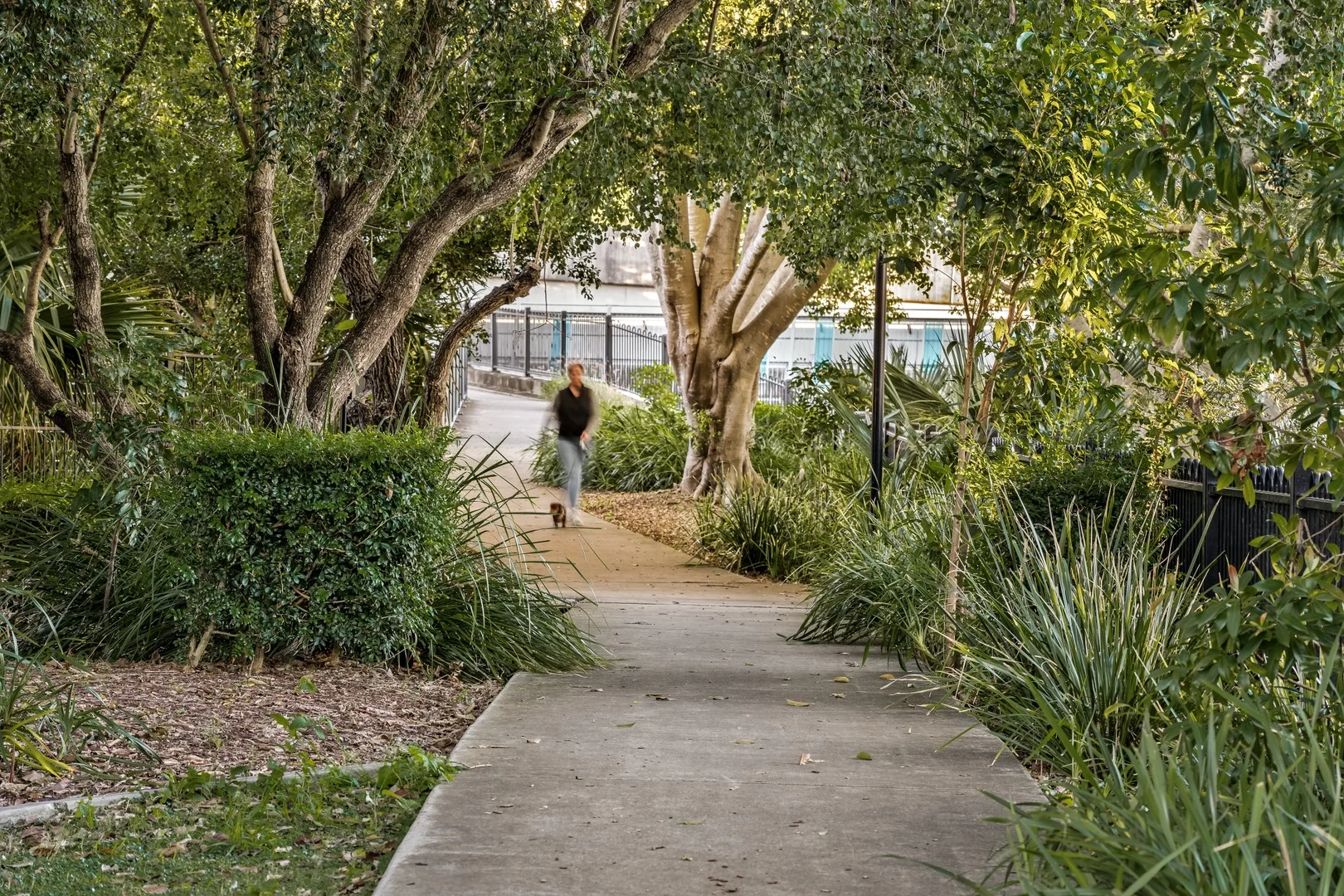 Additional image 10 of 51 Bedford Street, Gordon Park QLD 4031