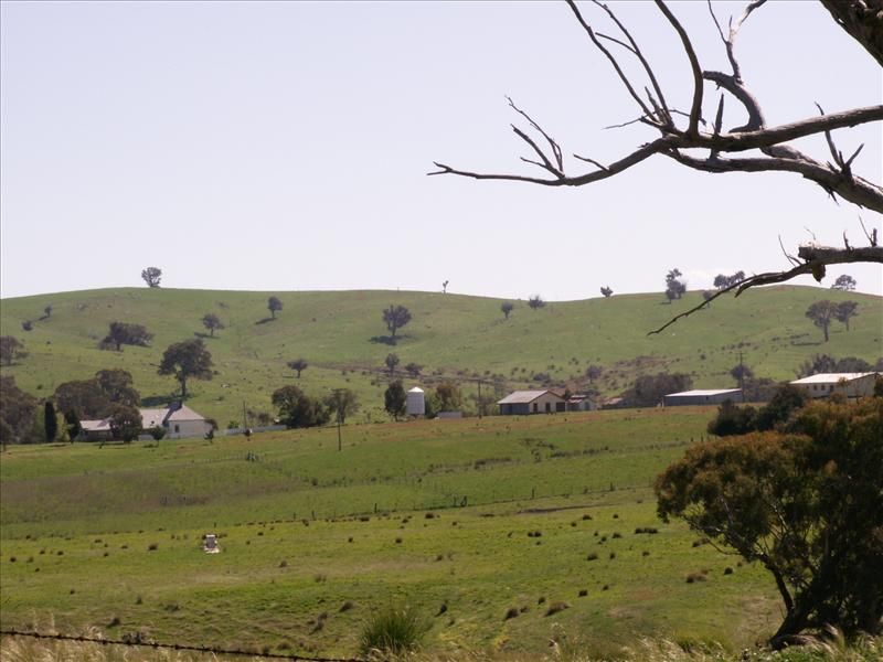 Bigga Road, Binda NSW 2583, Image 2