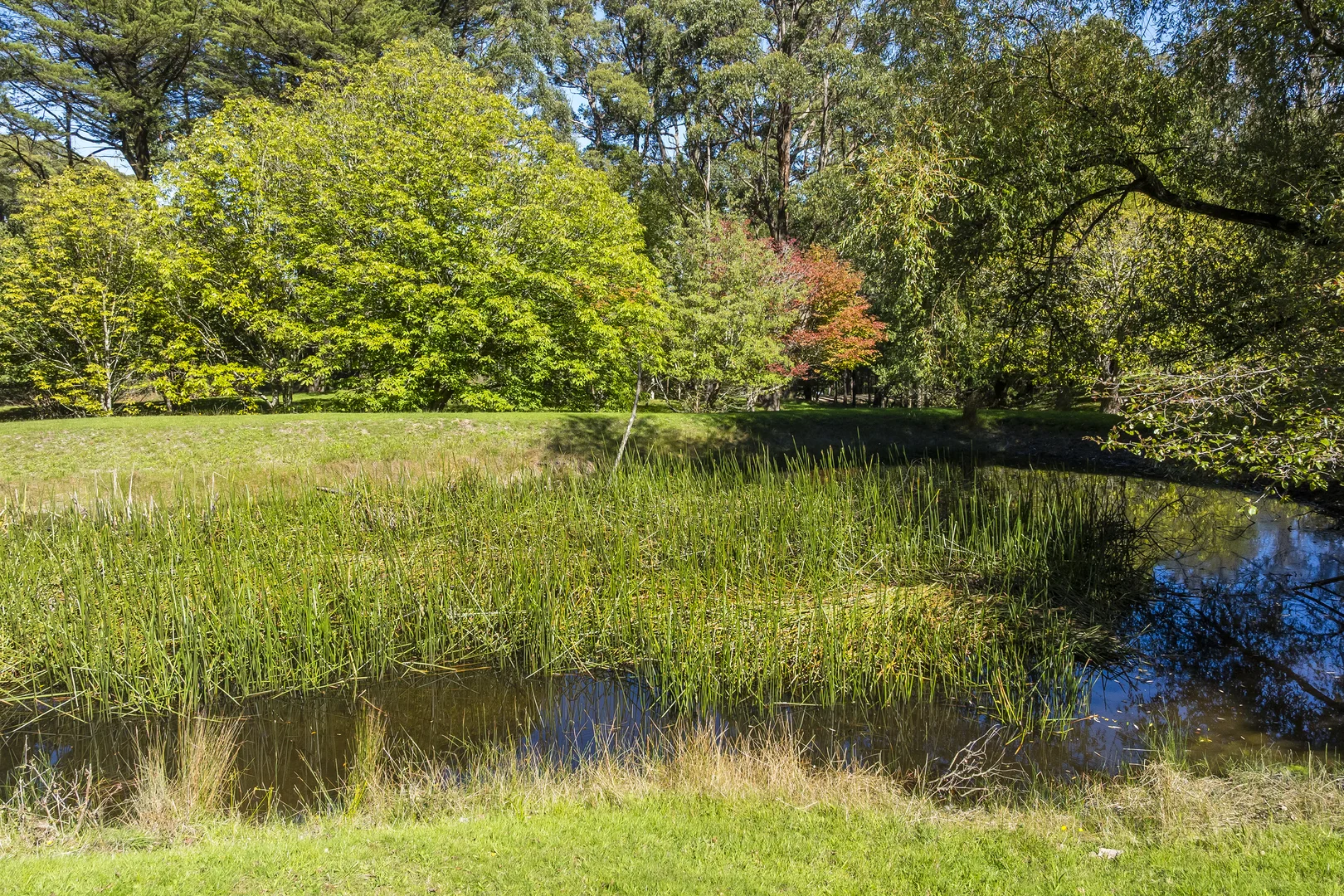 Additional image 36 of 165 Zig Zag Road, Mount Macedon VIC 3441