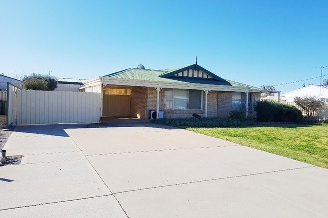 Picture of 21 AGONIS Street, LEEMAN WA 6514