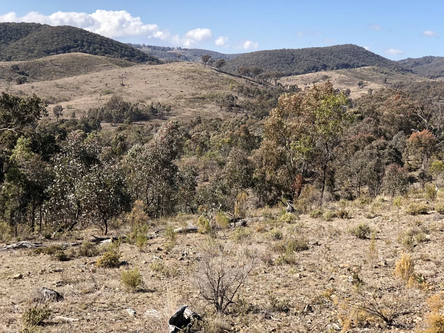 Image 15