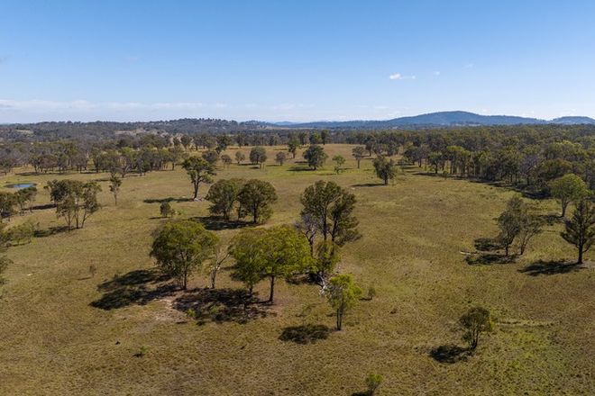 Picture of Rowena Road, BALALA NSW 2358