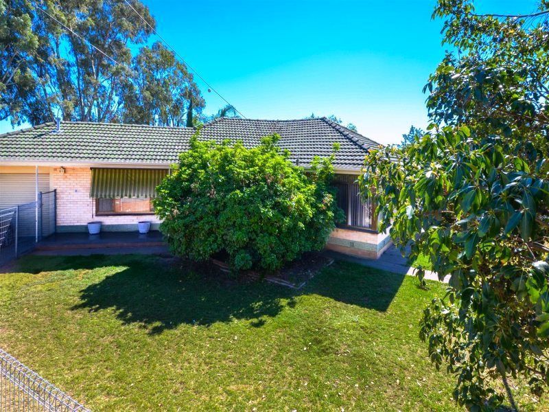 1 Terra Avenue, Mitchell Park SA 5043, Image 0