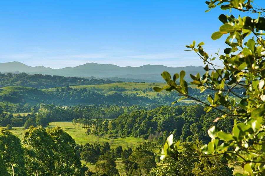 54 Satinwood Drive, Mcleans Ridges Property History & Address