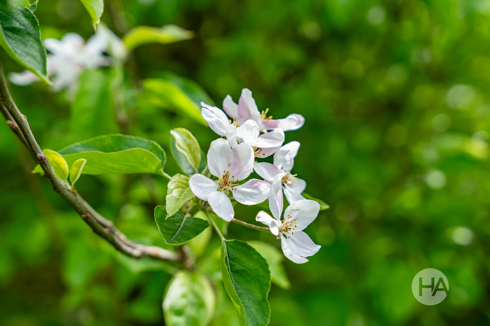 Additional image 6 of 83 Merricks Road, Merricks North VIC 3926