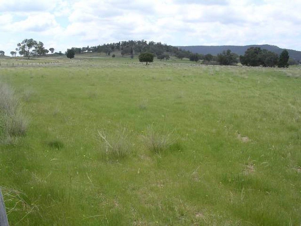 Lake Metcalfe Road, PARKES NSW 2870, Image 2