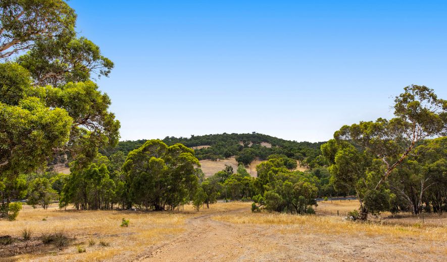 110 Morley Road, Lower Chittering WA 6084 Domain