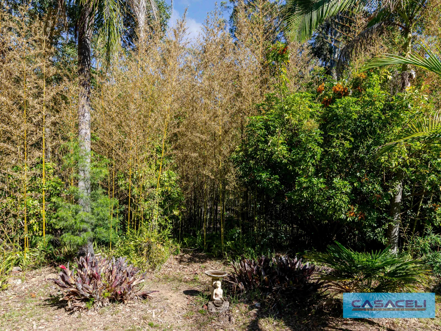 Additional image 41 of 148 Ridge Road, Central Tilba NSW 2546