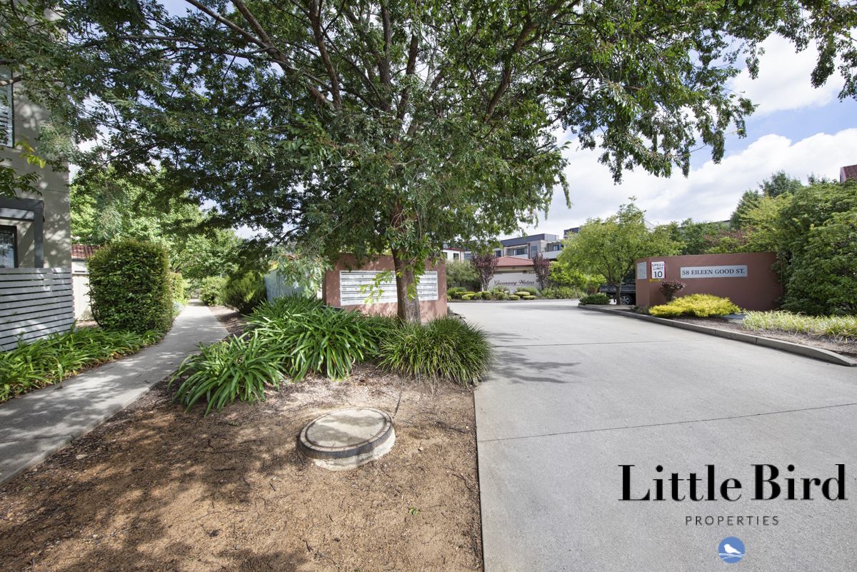 19/58 Eileen Good Street, Greenway ACT 2900 Apartment For Rent Domain