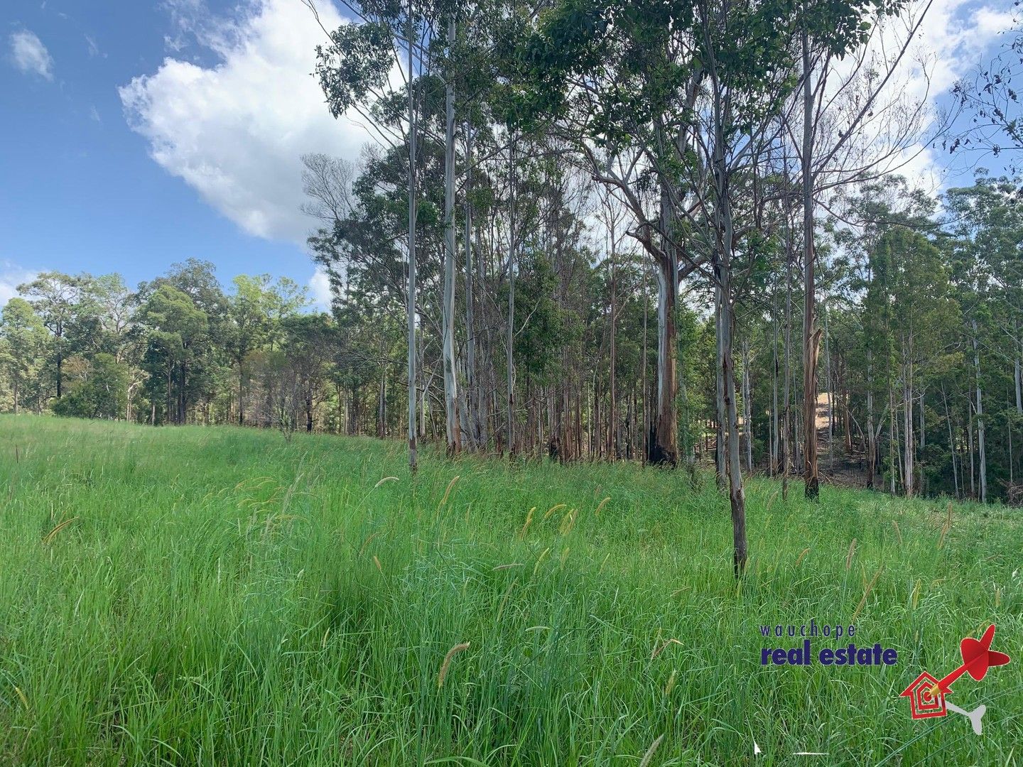 Lot 306, 3 Neville Road, Beechwood NSW 2446, Image 0