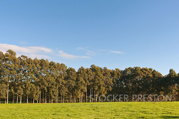 264 (Lot 27) Redgate Road, Witchcliffe, Margaret River WA 6285, Image 1